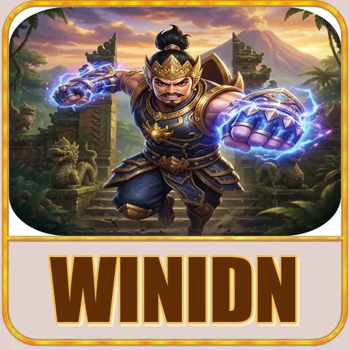 Troubleshooting winidn